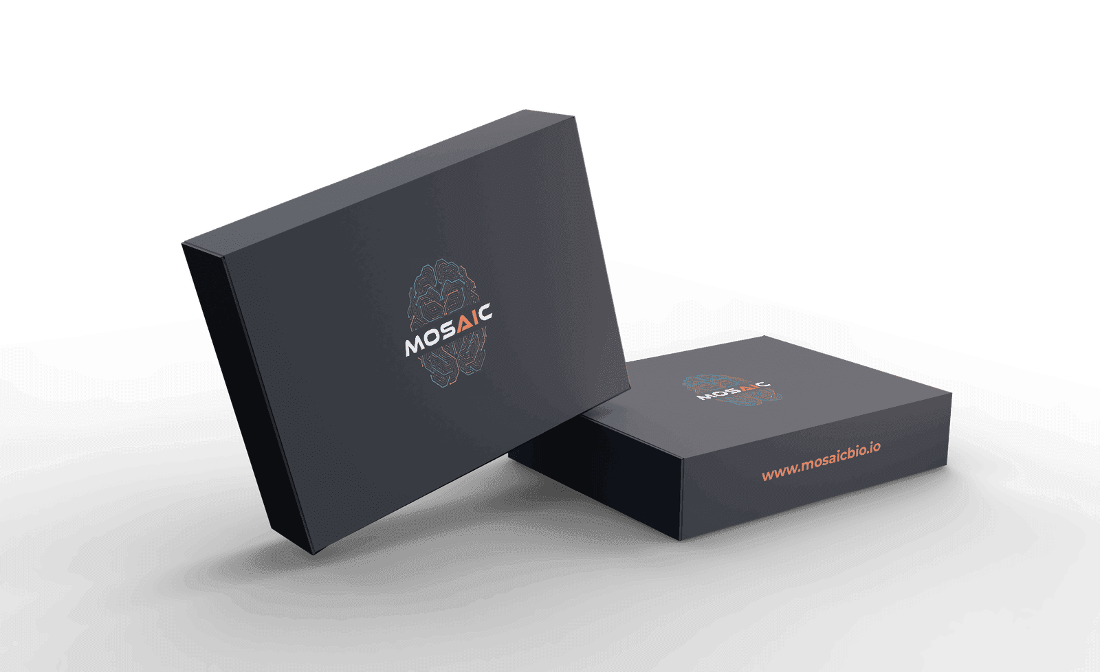 Mosaic kit boxes — dark navy with the Mosaic brain mark and wordmark